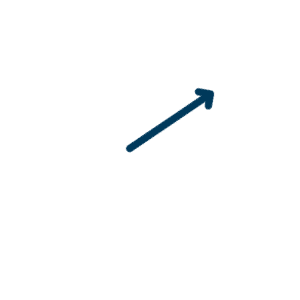 Logiciel rapports de performance en ligne Icone