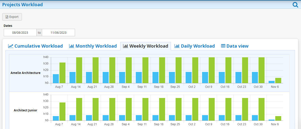 Project Workload