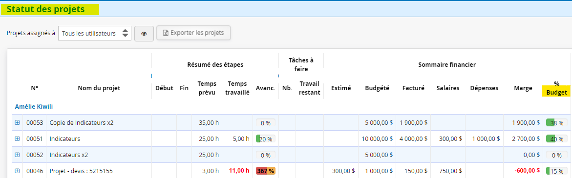 Rapport statuts des projets