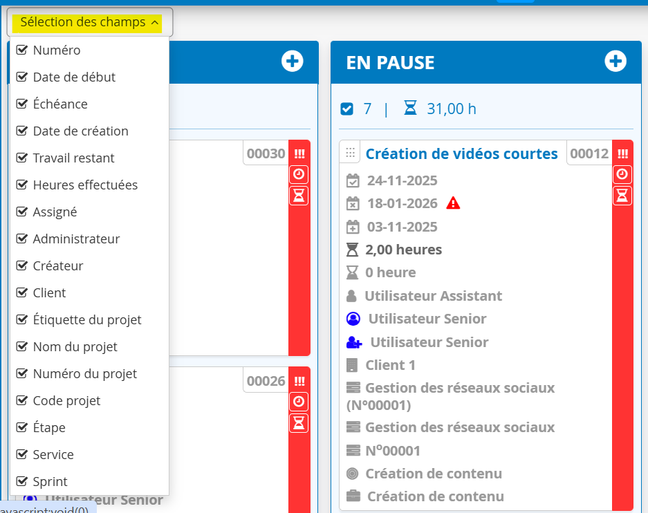 Gestion des taches vision kanban affichage des champs
